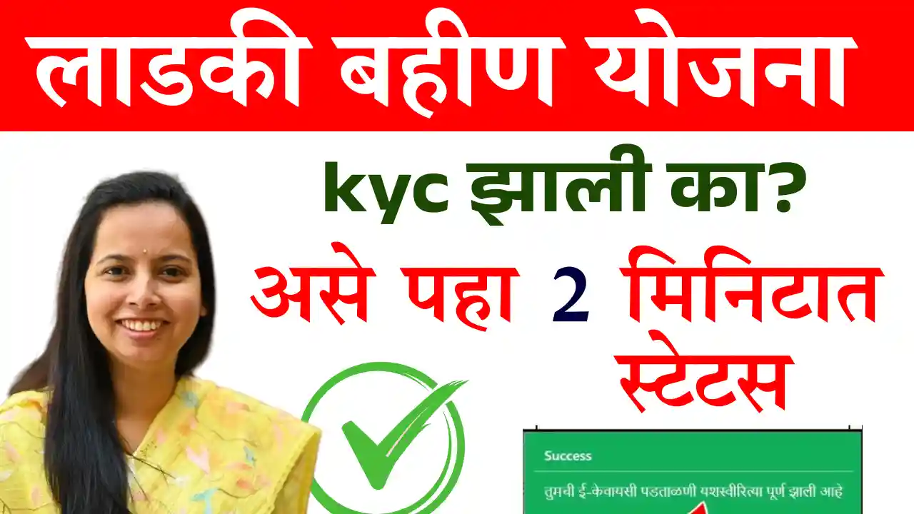 ekyc status